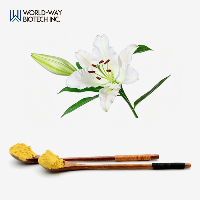 Lily Extract Powder Lily Extract Powder